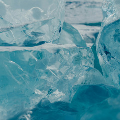 The King Of The Arctic