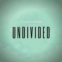 Undivided