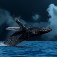 sorena Ghayeghe Bi Paroo سورنا