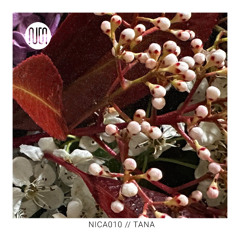 nica010 // TANA @ kHaus Basel