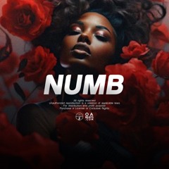 NUMB ᴼᴬᵇᵉᵃᵗˢ Afro Guitar x Afrobeat Type Beat