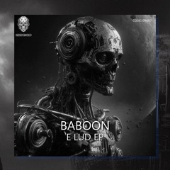 BABOON - PROCESS (OUT NOW)
