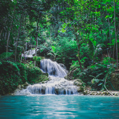 CYCLES - MoonBoi & Danny Ganja