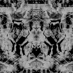 !wasu x FXDCPX - black/white (impro live set)