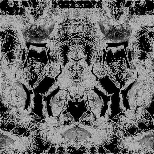 !wasu x FXDCPX - black/white (impro live set)