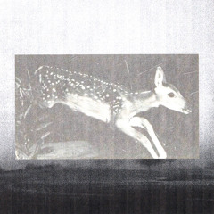 potassium [prod. Graveyard Magazine]