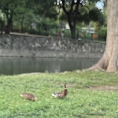 Running Heart (runawway, koukai)