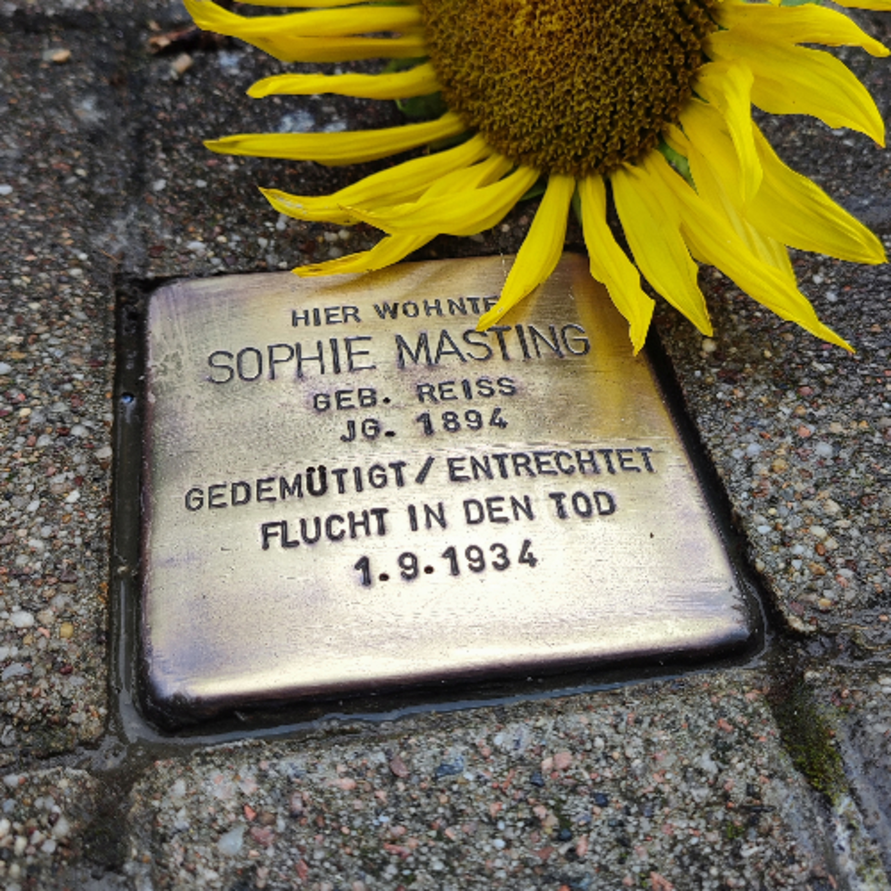 45. Stolperstein-Verlegung in Magdeburg