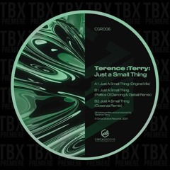 Premiere: Terence :Terry: - Just A Small Thing (Politics Of Dancing & Djebali Remix) [Circa Groove]