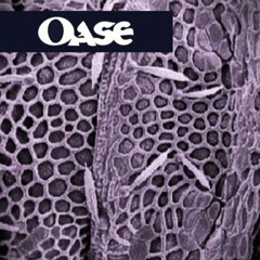 OASE - Yolanta [Free DL]