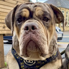 Eminem - Superman (Remix Dj Mangoo - Eurodancer)