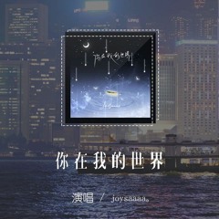 joysaaaa - 你在我的世界「你在我世界悄然出現，讓我瘋狂迷戀 然後不見」【動態歌詞/pīn yīn gē cí】