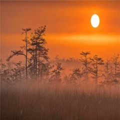 Destroyer of the Voi