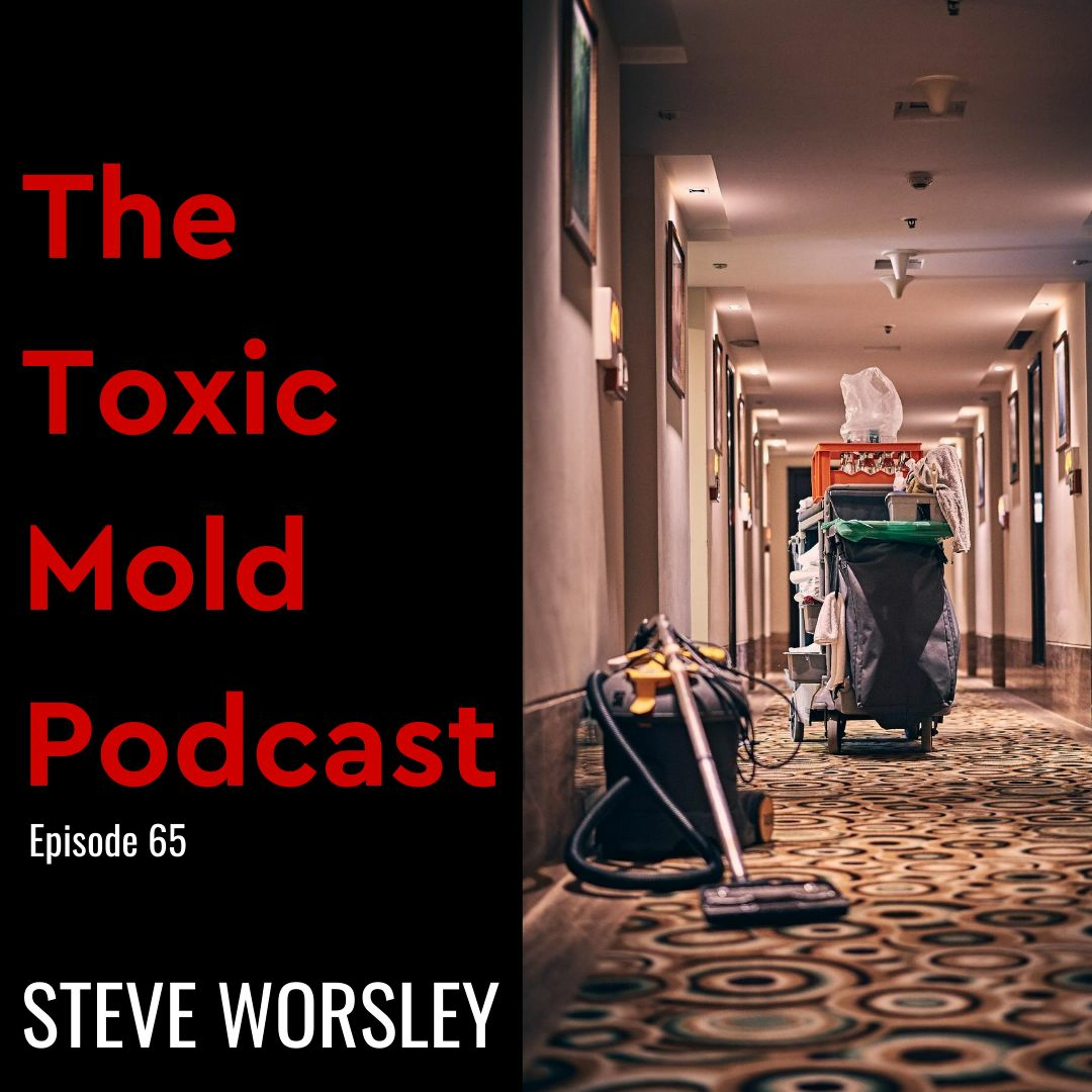 The Toxic Mold Podcast