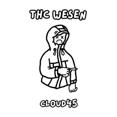 THC Wesen ( Prod. P.A )