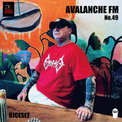 AVALANCHE FM No.49 DJCESET (CESET RECORDINGS)