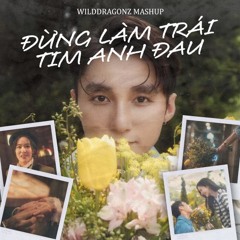 Dung Lam Trai Tim Anh Dau - Son Tung-MTP (WildDragonz Mashup)