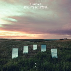 Lane 8 - Survive feat. Channy Leaneagh (Sultan + Shepard Remix)