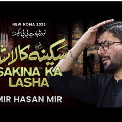 Sakina (sa) Ka Lasha _ Mir Hasan Mir Nohay 2023 .mp3