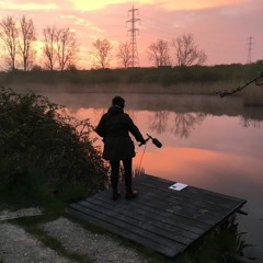 Milton Creek_28.4.21_mix incl Nightingales