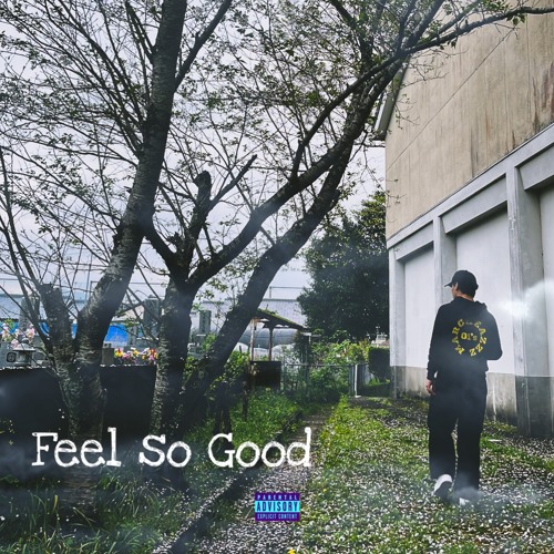 Feel so Good(Niacatfff)
