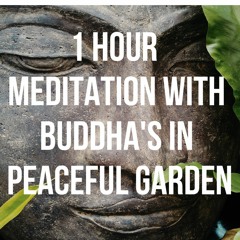 221 1-Hour Meditation With Buddha's in Peaceful Garden