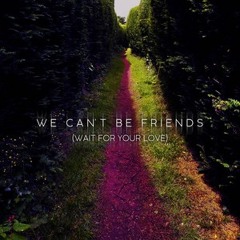 The Animal In Me - We Can’t Be Friends (Wait For Your Love)