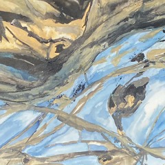 We swim where the birds are