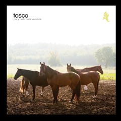 Elitsa (Kotey Extra Band Disco Version)