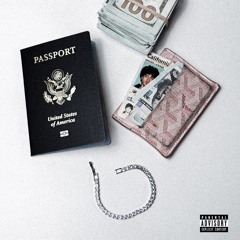 Passport (flexcyn)