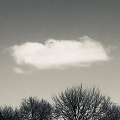 Breathe for Those Denied