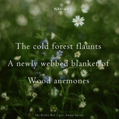 The Cold Forest Flaunts  ( Naviarhaiku 490 )