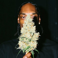 DayDreamin