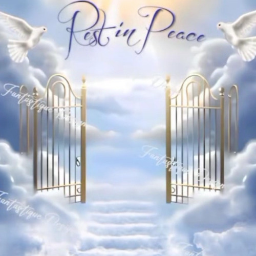 R.I.P - by T.B.F (ft Sk.1ner)