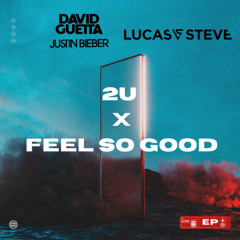David Guetta & Justin Bieber vs. Lucas & Steve - 2U vs. Feel So Good [Shinku Network Exclusive]
