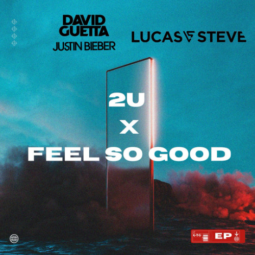 David Guetta & Justin Bieber vs. Lucas & Steve - 2U vs. Feel So Good [Shinku Network Exclusive]