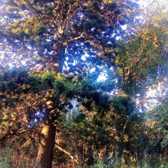 Chascomus UltraRemix