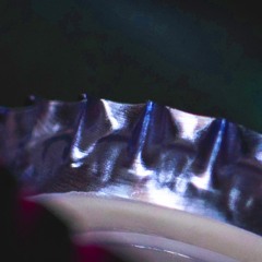 Rayon Surgelé - Bernard Limite