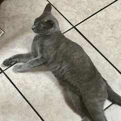 22 kllhhr ‎ loss (prod. romel)