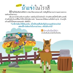 102 ม้าแข่งในโรงสี