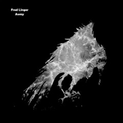 Fred Linger - Away (Original Mix)[Xpezial Records]