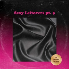 SEXY LEFTOVERS PT.5