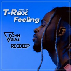 T - Rex - Feeling ( John Diaz x Red Deep Afro Mix ) Preview