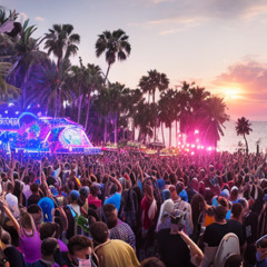 Tribal Summer 2025