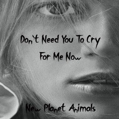Don't Need You To Cry For Me Now