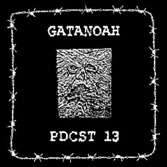 NИTИ PDCST #13 gatanoah