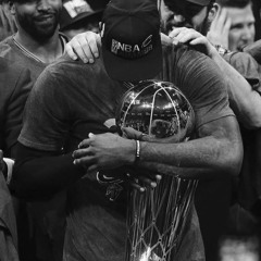 okayspade - lebron james