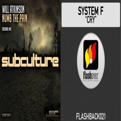 Cry The Pain (Bryan Kearney Mashup - Bizarre Hazar Recon) FULL UNMODIFIED DL AVAILABLE
