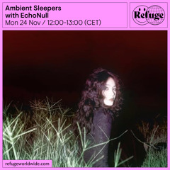 Ambient Sleepers - EchoNull - 24 Nov 2025