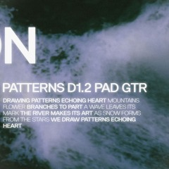 Patterns D1.2 pad gtr